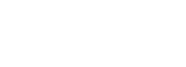 D'YAVOL Live